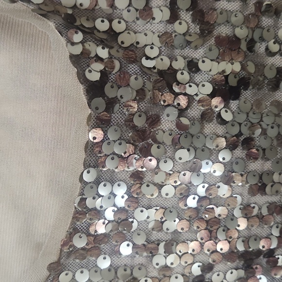 Sequin Dress - Picture 6 of 6